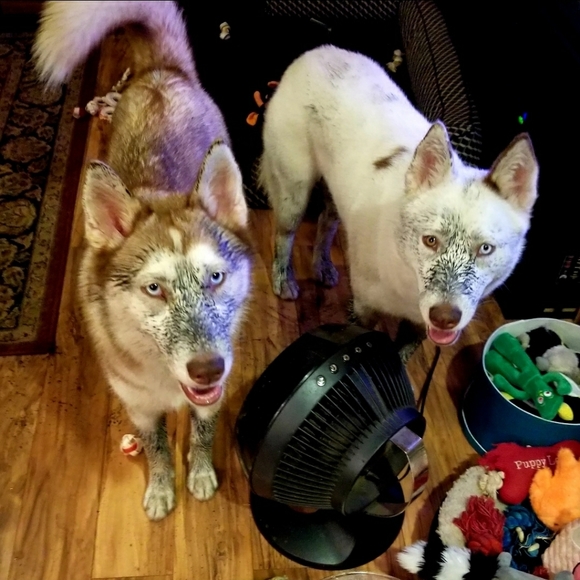 ❤ My Baby Girls ❤ - Picture 8 of 12